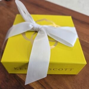 Kendra Scott Silver and Black Bar Necklace